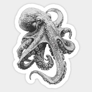 octopus Sticker